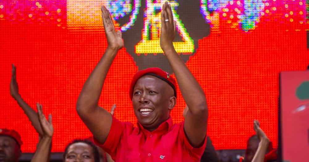 Economic Freedom Fighters, Robben Island, Victory, Win, ANC, Municipal Elections