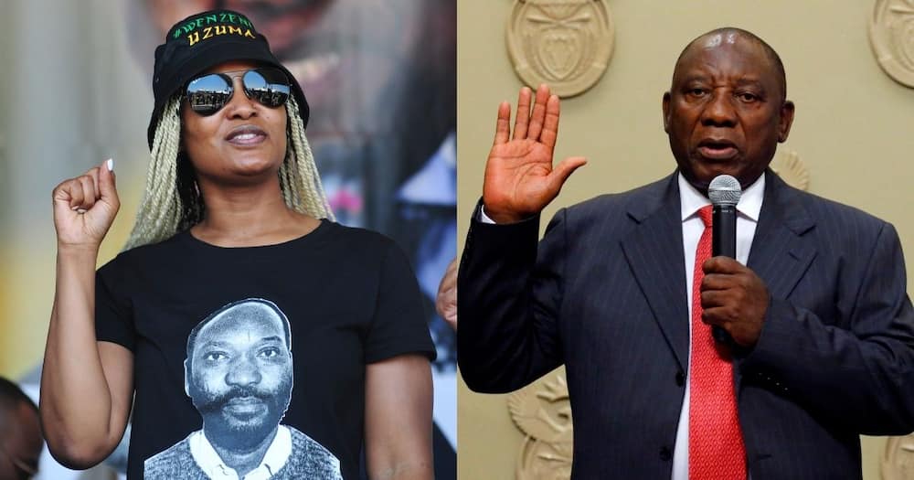 Duduzile Zuma-Sambudla, Cyril Ramaphosa, Jacob Zuma, ANC, choose, social media