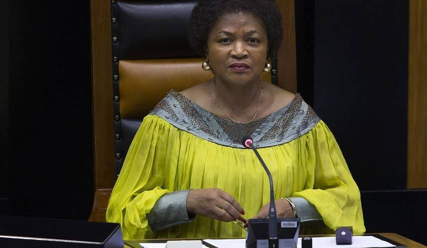 Baleka Mbete Biography Age Daughter Husband Wedding Resignation House Salary