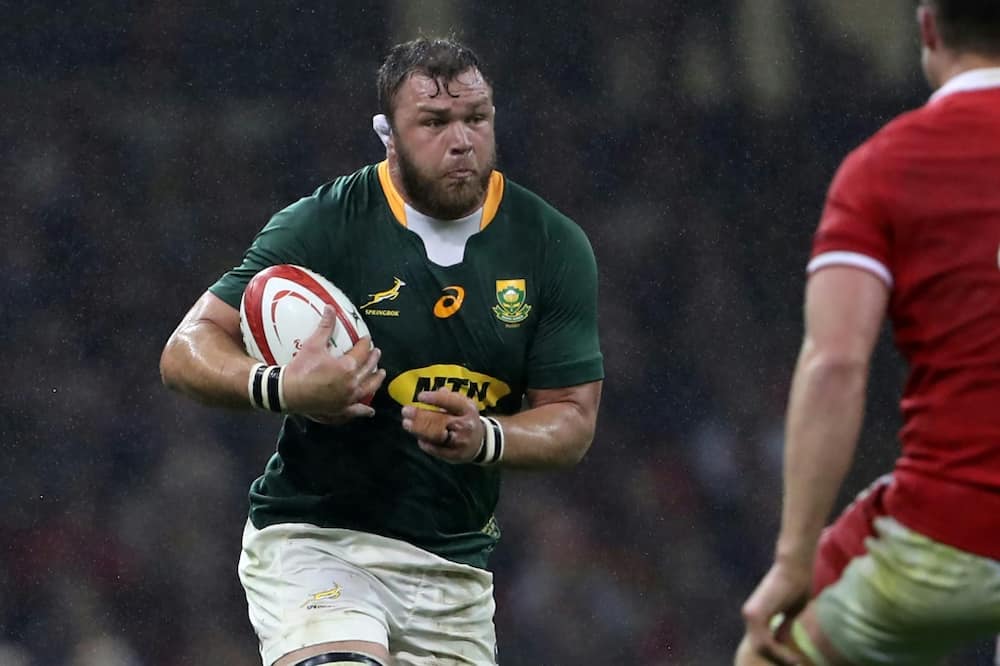 Number 8 Duane Vermeulen, seen here against Wales in 2021, returns to the Springboks line-up for the New Zealand Tests