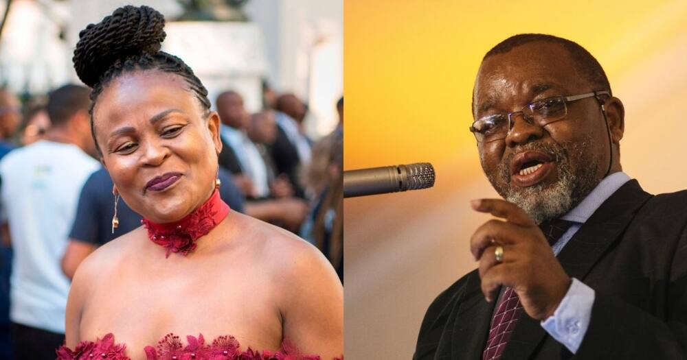 Mkhwebane vs Mantashe: SA responds to inquiry into Public Protector