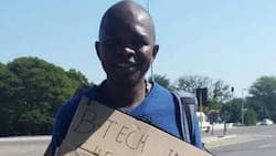 Mzansi feels for engineering graduate who sells oranges, offer job opportunities
