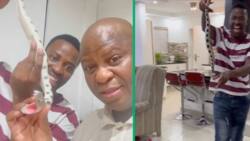 Dad's snake prank turns backfire into TikTok gold, leaving Mzansi in stitches