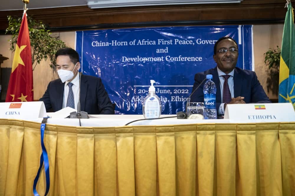 Xue Bing, China's special envoy to the Horn of Africa (left) is pictured with Ethiopian national security adviser Redwan Hussein