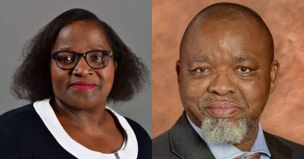 Tozama Mantashe: ANC MP succumbs to Covid 19 related complications