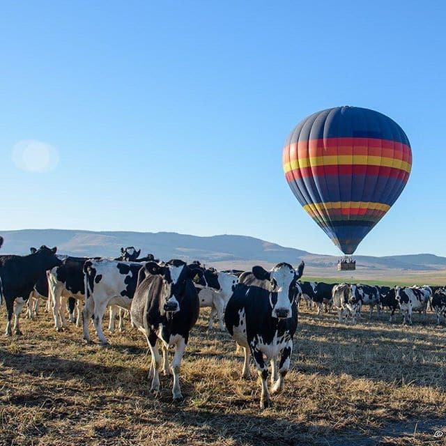 activities in Clarens