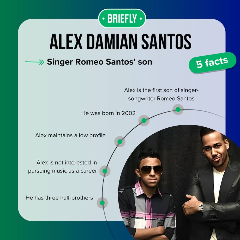 Alex Damian Santos' facts