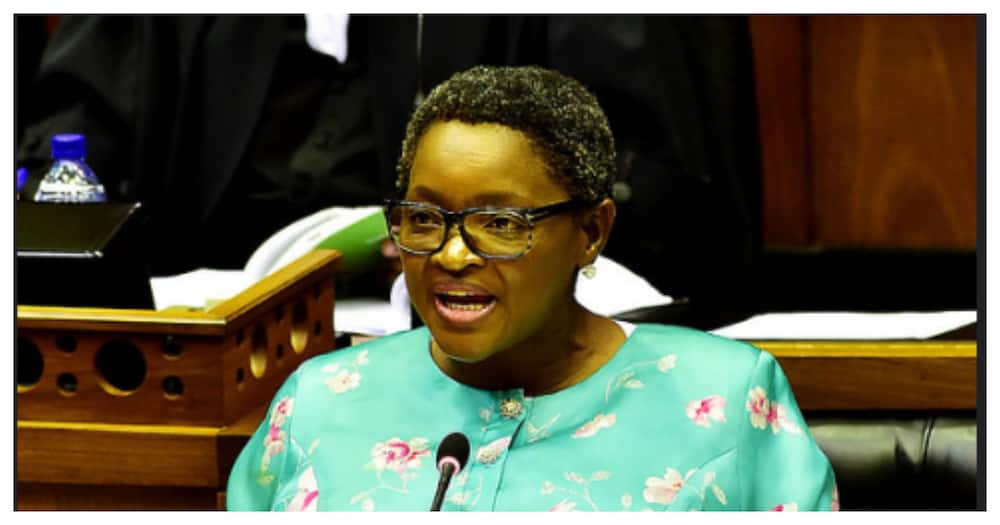 Bathabile Dlamini Biography: Age, Education, Salary ...