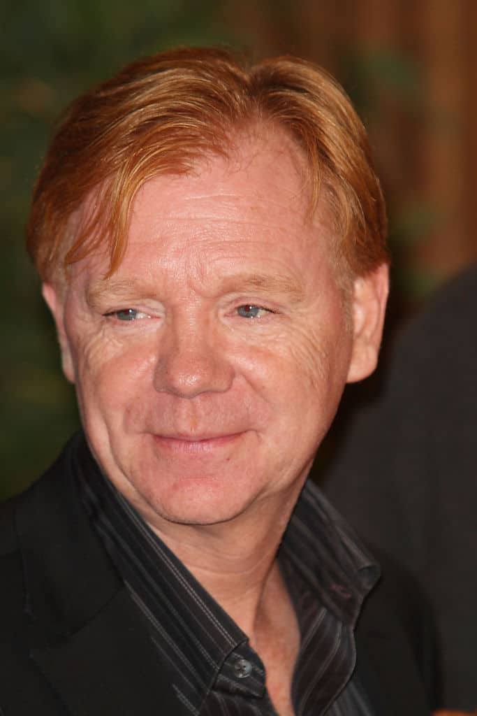 David Caruso bio: age, family, TV shows, movies, CSI Miami, net worth - Briefly.co.za