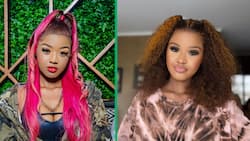 Babes Wodumo rocks the stage at IFP Manifesto launch activation, SA reacts: "She still has it"