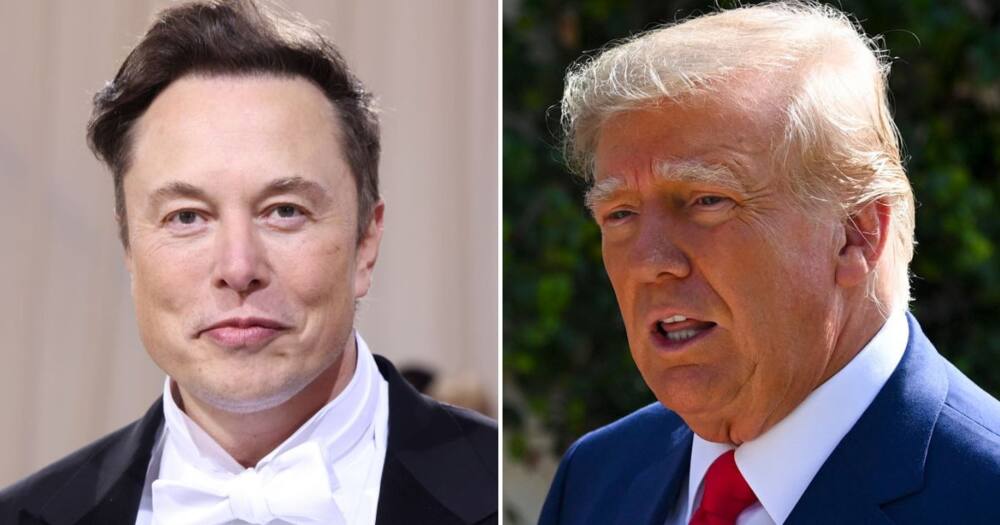 Elon Musk lifts Trump's suspension on Twitter