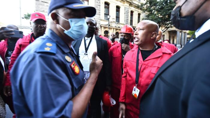 EFF vs SAPS at SONA: South Africans share their opinions of the clash