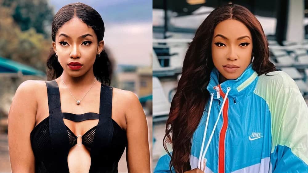south african female artists south african female artists