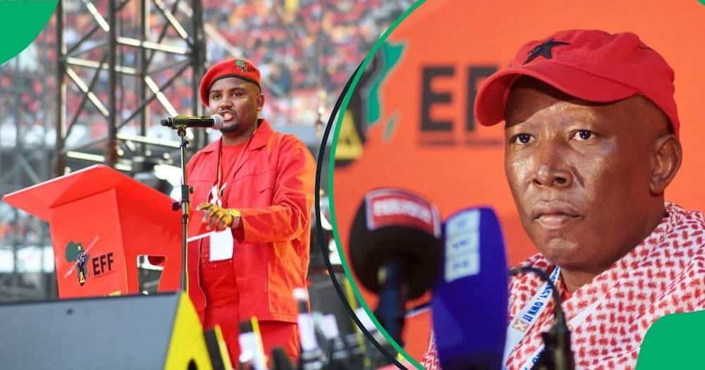 Julius Malema wants Nkululeko Dunga to be reinstated as the MEC