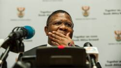 Video of Fikile Mbalula hilariously trying to blow out a sparkler at an event has SA peeps laughing out loud