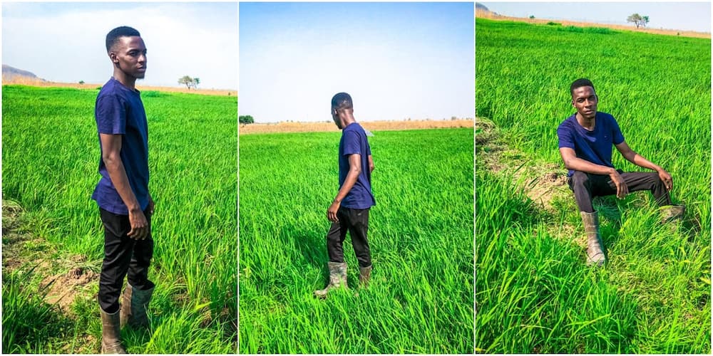 Fresh graduate who acquired farmland with NYSC allawee inspires many with his success