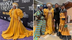 Connie Chiume gives fans an Inside look at the 'Black Panther Wakanda Forever' premiere, SA in awe