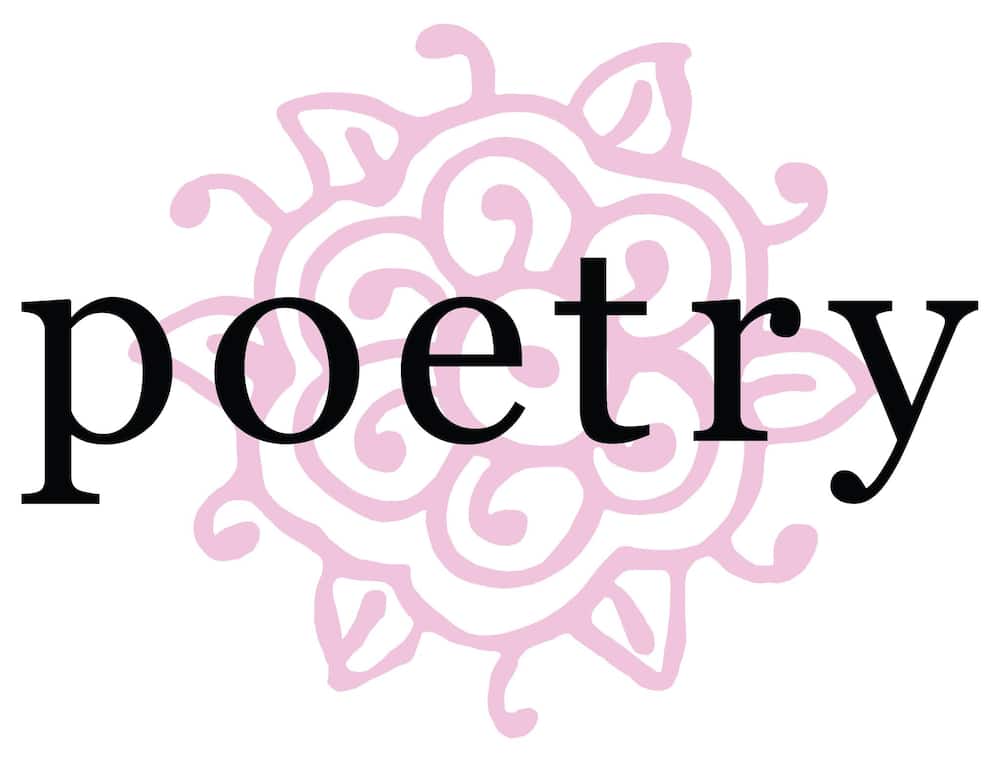 Poetry clothing