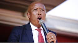 EFF leader Julius Malema reaffirms mandatory vaccine stance: 'No one should be forced'