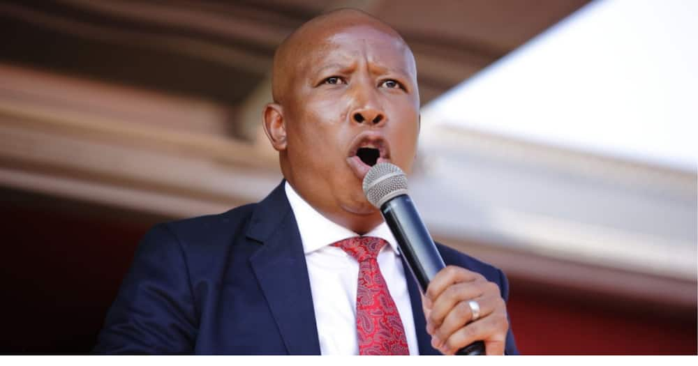 Economic Freedom Fighters, EFF, Commander in chief, Julius Malema, Covid 19, Vaccine, Jab, Jews, Mandate, Academic year, Cape Peninsula University of Technology