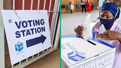 2024 Elections: Over 350 Parties With IEC, Spoiling Voters for Choice