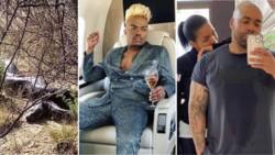 Weekly wrap: Massive snake alarms Mzansi, Somizi and feud and Connie's last words to Shona