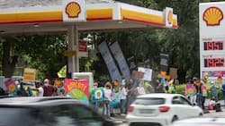 Shell stopped by court, Wild Coast seismic survey put on hold until further notice