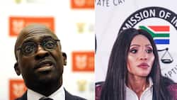 State Capture Inquiry: Malusi Gigaba testifies that his estranged wife is a 'pathological liar'