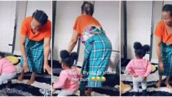 She's a future dance queen: Little girl picks dancing contest with grandma, copies the old woman's waist moves