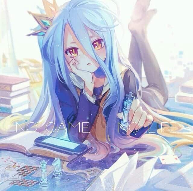 No Game No Life Season 2: Many volumes left for adaption! Will it