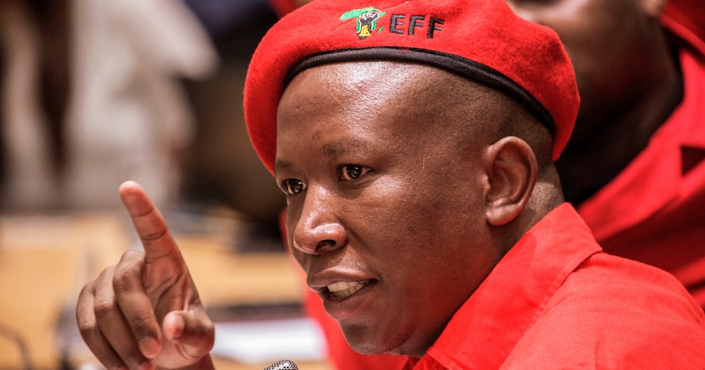 Julius Malema, EFF, Witbank, Mpumalanga, local government elections