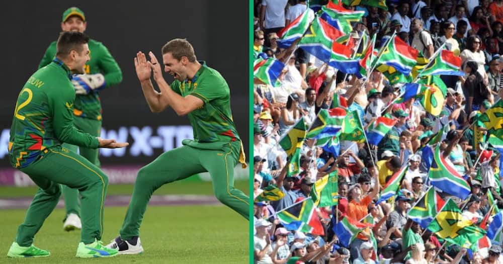 Proteas at Cricket World Cup