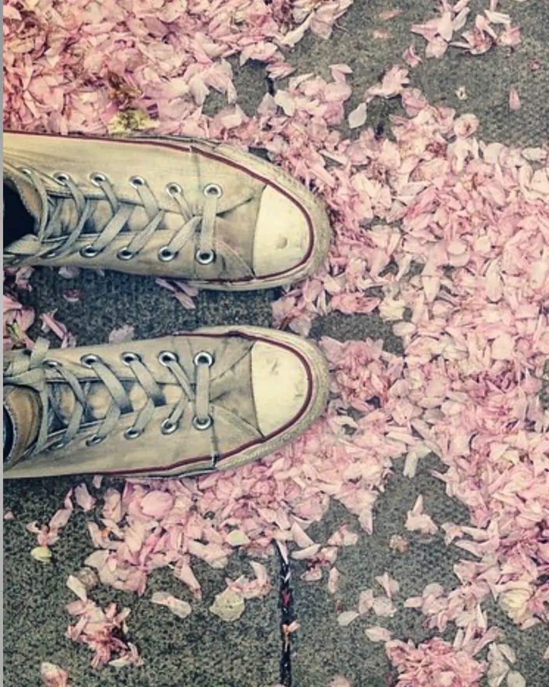 Cleaning converse with outlet toothpaste