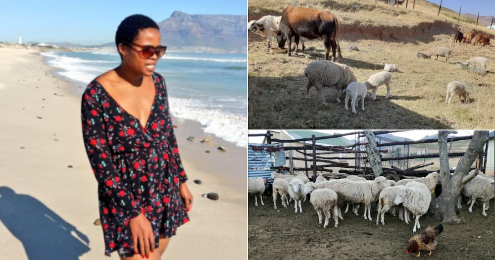 Female Farm Owner, Viral Clip, Inspirational, Twitter reactions, Girl Power Female Farm Owner, Viral Clip, Inspirational, Twitter reactions, Girl Power