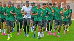 Bafana will return to Free State for the first time in 14 years when they face Zimbabwe in June