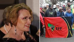 DA’s Helen Zille cautions against EFF’s national shutdown, claims protest will undermine SA’s shaky foundation
