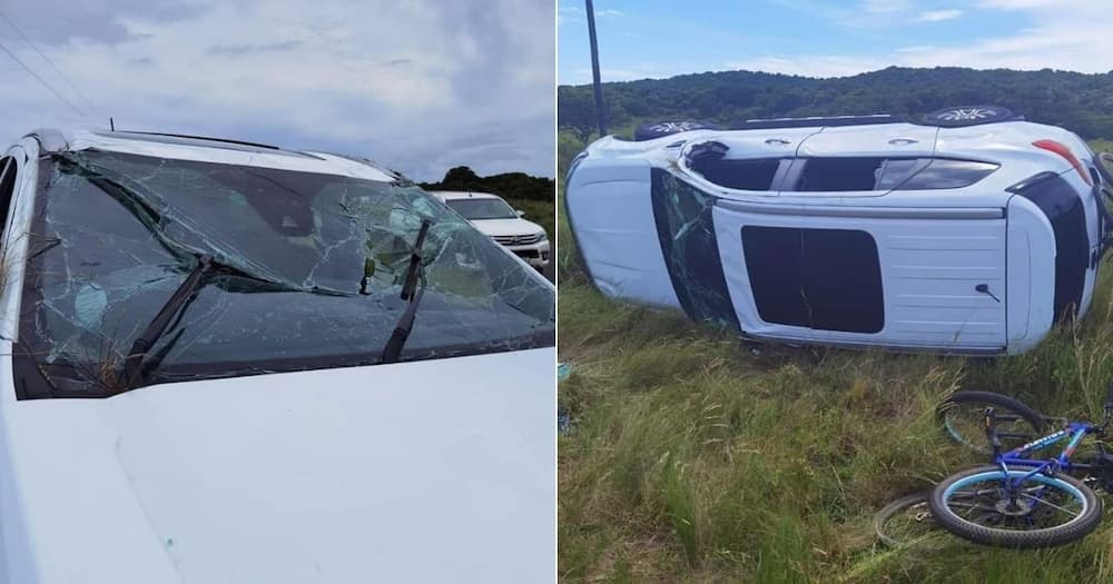 SUV, KZN, KwaZulu-Natal, elephant, accidents, overturned vehicle