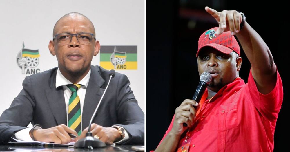 ANC, EFF spokesperson, Pule Mabe, step aside rule, President Cyril Ramaphosa, farm theft, allegations