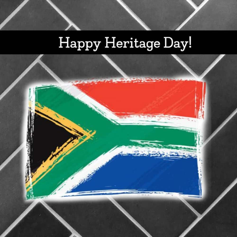 What is Braai day and how to celebrate it in South Africa