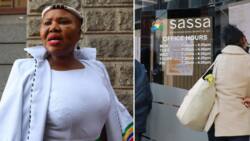 Lindiwe Zulu says R29m earmarked for new generators at Sasssa offices as loadshedding impacts service delivery