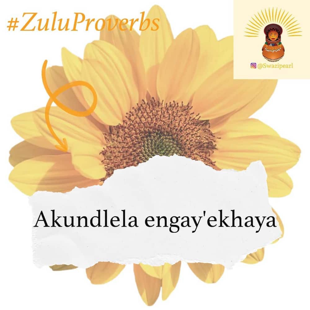 Best Zulu proverbs Best Zulu proverbs
