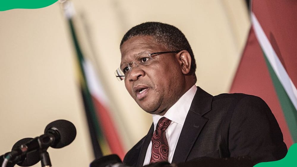What is Fikile Mbalula doing now?