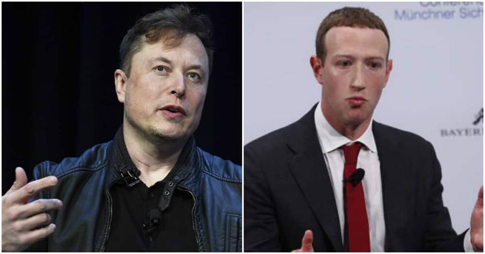 Twitter boss Elon Musk fired half of employees as Meta boss plans to follow suit.