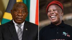 EFF Leader Julius Malema threatens to expose President Cyril Ramaphosa, plans to release robbery video