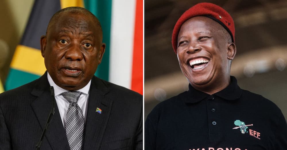 EFF, Julius Malema, threatens, release, Cyril Ramaphosa, robbery, video, court appearance, president