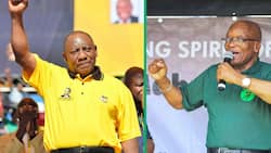 ANC voter Numbers plunge while MK Party gains ground: Social Research Foundation survey