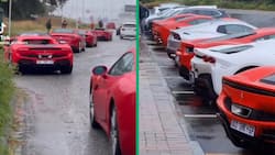 Video of Ferraris with GP number plates wows Mzansi, video of convoy inspires people