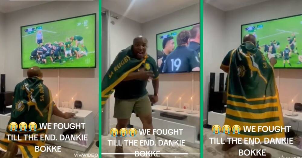 Viral Afrikaans-speaking Springboks Fan Lights Candles and Cheers as He ...