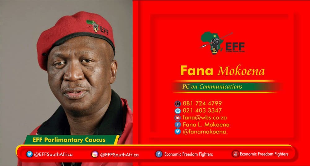 Fana Mokoena age
