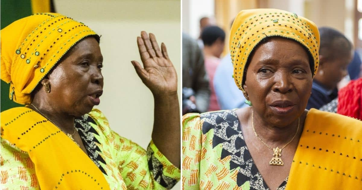 Cogta Minister Dlamini-Zuma Proposes Local Government Should Declare ...